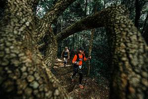 BIB: 
                            <button type="button" onclick="openModal(25703682)" class="btn btn-primary btn-sm float-right btn-popup" data-toggle="modal" data-target=".modal-high-quality">
                        <i class="fas fa-shopping-cart"></i> Add to Cart
                    </button>
                                            <button type="button" onclick="isThisMe(25703682, true)" class="btn btn-success btn-sm float-right btn-popup btn-isme hidden" data-toggle="tooltip" data-placement="bottom" title="นี่คือรูปของคุณใช่ไหม คลิกที่นี่เพื่อเอาเข้าอัลบั้ม">
                        <i class="fas fa-plus"></i> Add to album
                    </button>
                    <button type="button" onclick="isThisMe(25703682, false)" class="btn btn-warning btn-sm float-right btn-popup btn-isnotme hidden">
                        <i class="fas fa-ban"></i> Remove from album
                    </button>